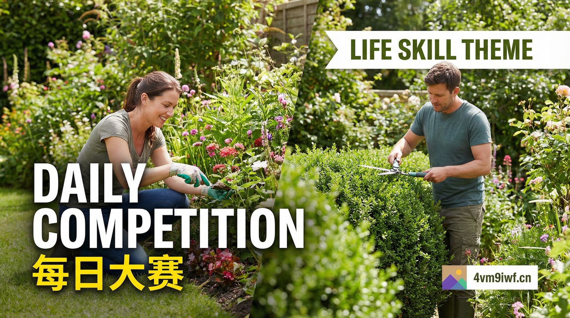 每日大赛 园艺生活视频